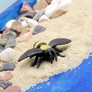 May include: A black and yellow bee figurine on a blue and white background. The bee is sitting on a bed of white sand with small white and brown rocks surrounding it.