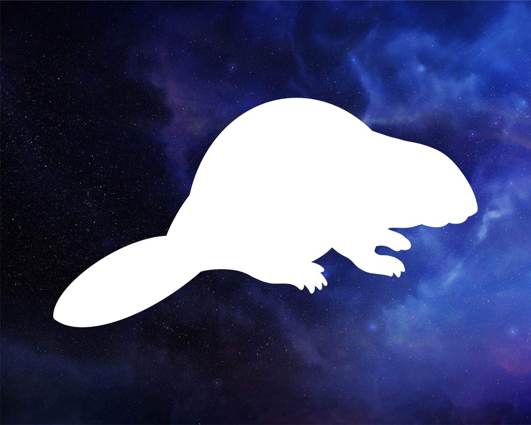 Beaver Decal - Etsy