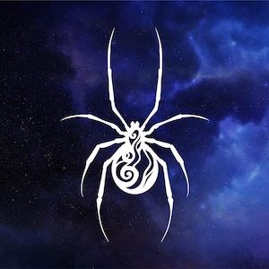 Spider decal