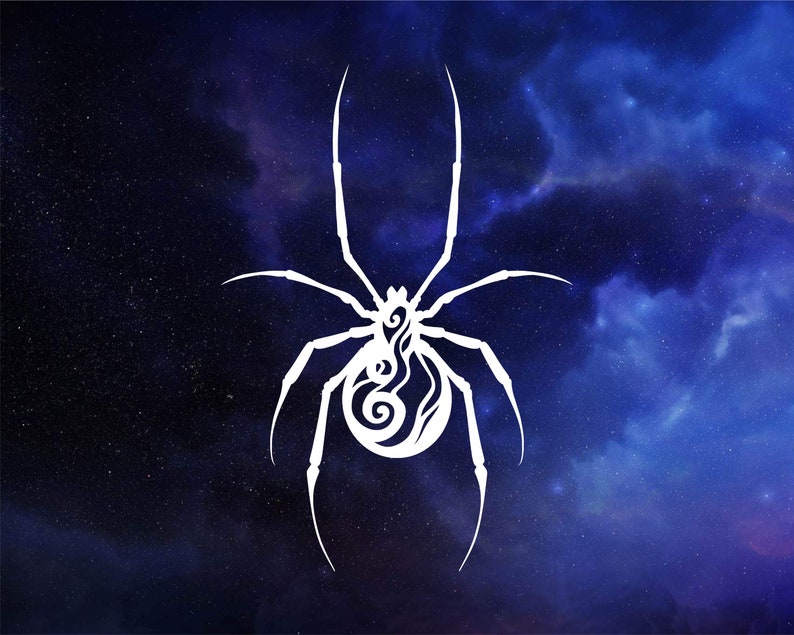 May include: A white spider silhouette with intricate details on a dark blue background with white stars.
