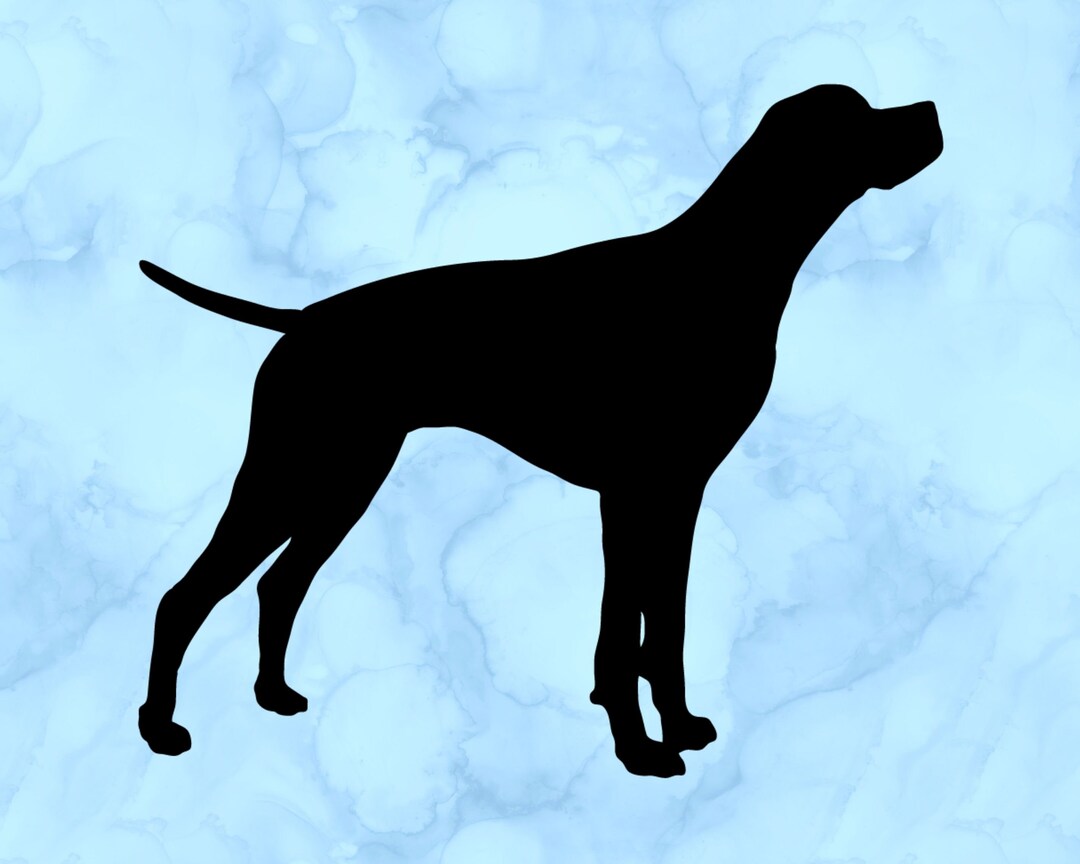 English Pointer Decal - Etsy