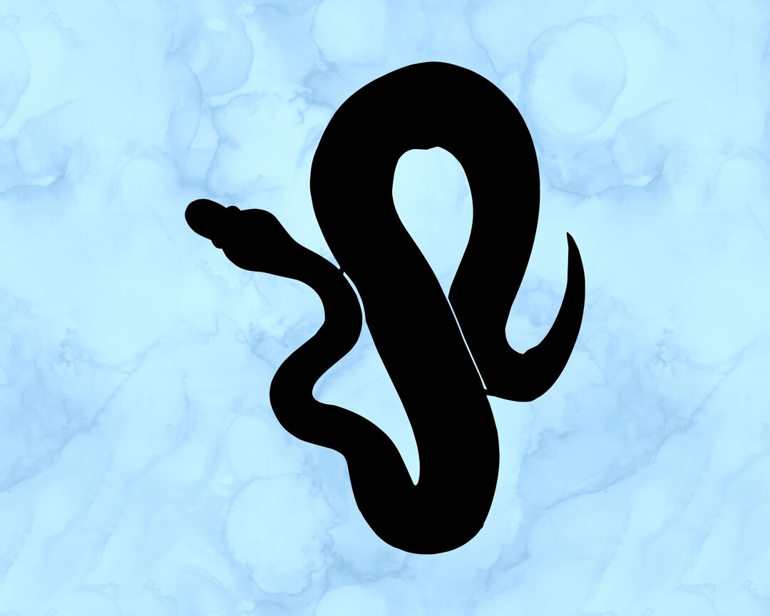 Ball Python Decal - Etsy