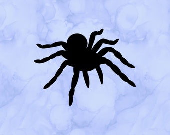 Spider decal