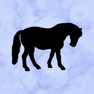 Pony decal