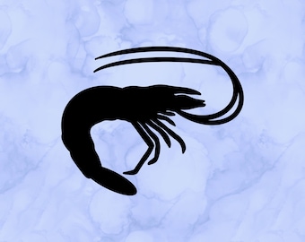 Shrimp decal