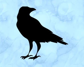 Crow decal