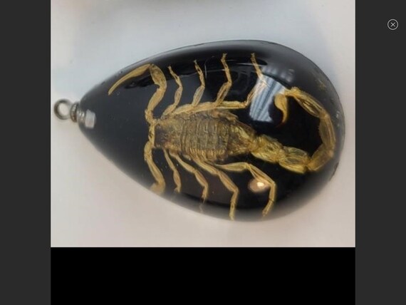 A Real Scorpion pendant