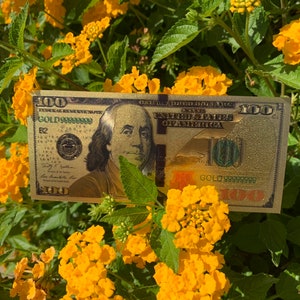 Gold Plated Manifestation Bill