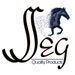 Seg Gears