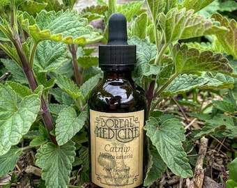 Puede incluir: Una botella de vidrio marrón con un gotero y una etiqueta que dice "Boreal Medicine Catnip Nepeta cataria Fresh Extracted in Organic Cane Alcohol". La botella está sentada en un lecho de hojas verdes.