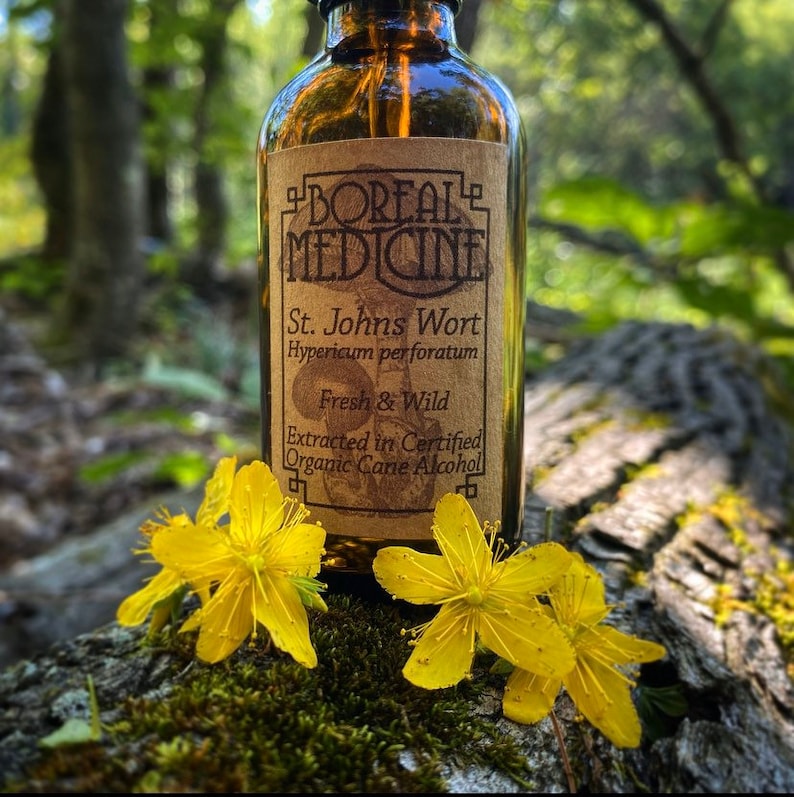 Puede incluir: Una botella de vidrio marr&oacute;n con una etiqueta que dice "BOREAL MEDICINE St. Johns Wort Hypericum perforatum Fresh & Wild Extracted in Certified Organic Cane Alcohol". La botella est&aacute; sentada en un tronco de &aacute;rbol con musgo verde y flores amarillas.