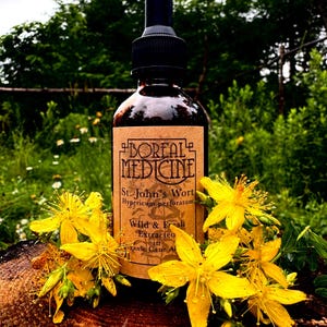 St. John’s Wort Tincture • Wild, Fresh & Extracted in Certified Organic Cane Alchohol