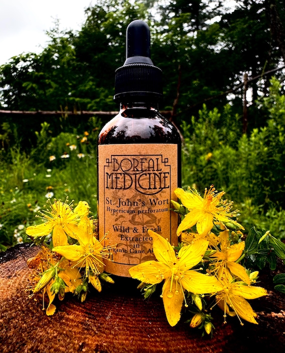 St. John’s Wort Tincture • Wild, Fresh & Extracted in Certified Organic Cane Alchohol
