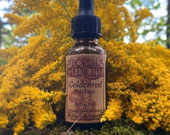 Puede incluir: Una pequeña botella de vidrio marrón con un gotero, etiquetada "Boreal Medicine Goldenrod Solidago Extracted in Organic Cane Alcohol Fresh & Wild". La botella está sentada sobre un lecho de flores amarillas de vara de oro.
