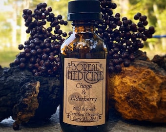 Chaga & Elderberry Tincture | Organic, Fresh, Wild
