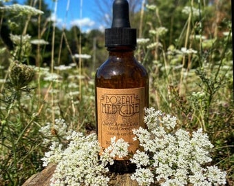 Queen Anne’s Lace Tincture (Wild Carrot) • Organic, Wild & Fresh