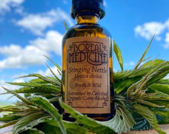 Stinging Nettle Tincture • Organic, Wild & Fresh