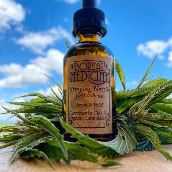 Stinging Nettle Tincture • Organic, Wild & Fresh