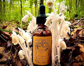 Ghost Pipe Tincture  • Organic, Wild & Fresh