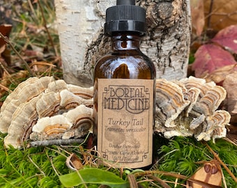 Turkey Tail Tincture • Organic, Wild & Fresh