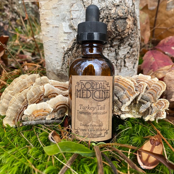 Turkey Tail Tincture • Organic, Wild & Fresh