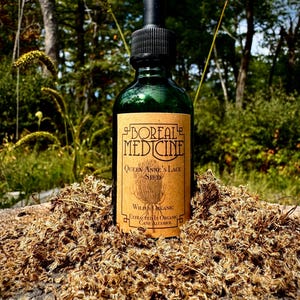 May include: A green glass bottle with a black dropper is labeled "Boreal Medicine." The label is tan with brown text and a graphic of a seed head. The bottle sits on a bed of dried seeds, with a blurred forest background.