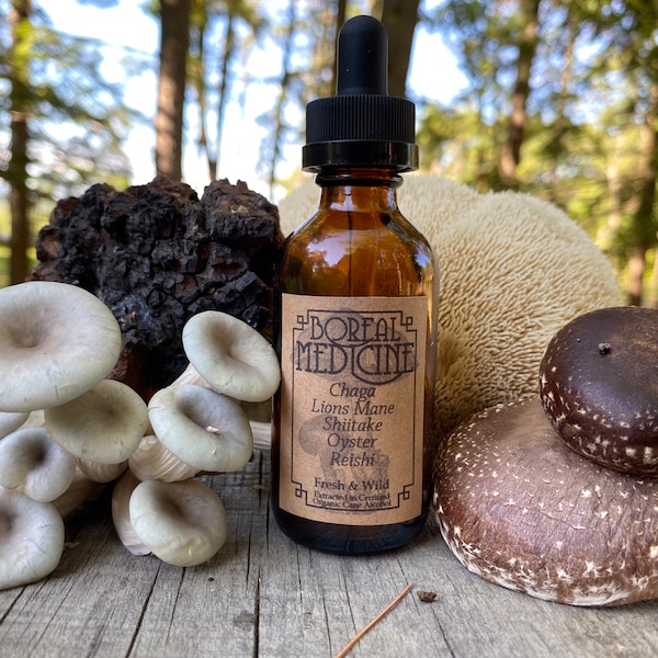 7 Mushroom Blend Tincture : Chaga, Turkey Tail, Maitake, Reishi, Lions Mane, Shiitake, Oyster • Organic, Wild & Fresh