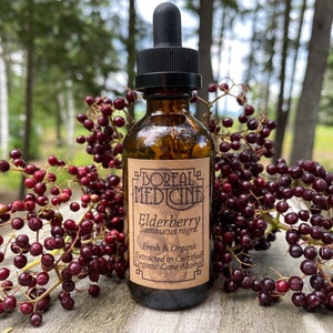 Elderberry Tincture | Organic & Fresh