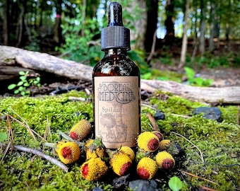 Spilanthes Tincture (Toothache Plant) | Organic & Fresh