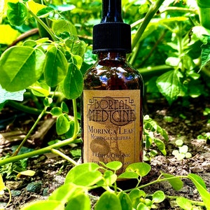 May include: A brown glass bottle with a black dropper top and a label that reads "Boreal Medicine Moringa Leaf Moringa Oleifera Fresh & Organic Extract". The bottle is sitting on a bed of green leaves.