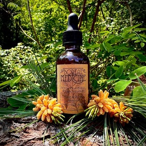 White Pine Pollen Tincture • Organic, Wild & Fresh