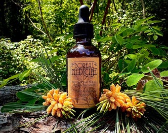 White Pine Pollen Tinktur • Bio, Wild & Frisch