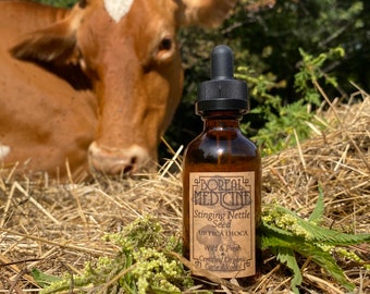 Stinging Nettle Seed Tincture • Female Seed, Organic, Wild & Fresh