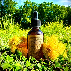 Dandelion Whole Plant Tincture • Organic, Wild & Fresh