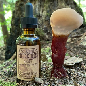 Reishi Mushroom Tincture • Organic, Wild & Fresh