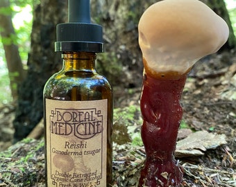 Reishi Mushroom Tincture • Organic, Wild & Fresh