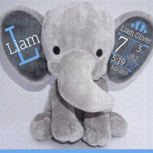 Free Free 232 Elephant Ear Birth Stats Svg SVG PNG EPS DXF File