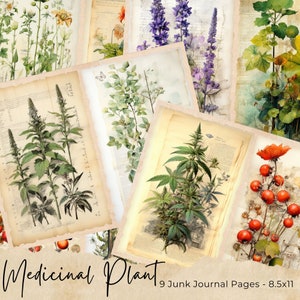Medicinal Plants Junk Journal Pages, Digital Botanical Collage Sheet, Vintage Flower Ephemera, Herbal Scrapbook Paper Kits, Floral Printable