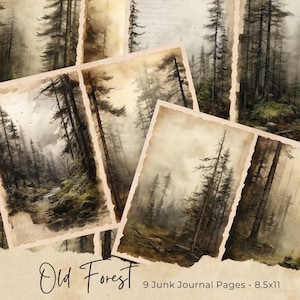 Old Forest Junk Journal Kit, gotische papieren, plakboeken, oud inzetstuk, vintage ephemera, collageblad, digitale map, instant download