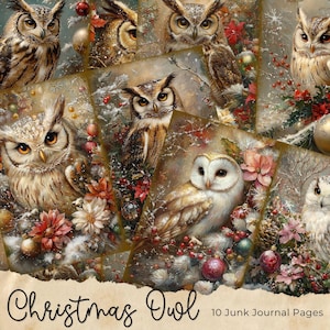 Eulen Junk Journal Seiten, digitaler Download, Scrap Buch, bedruckbar, Vintage Junk Journal Digi Kit, Journal, Owlet, Weihnachten, Nachtvogel
