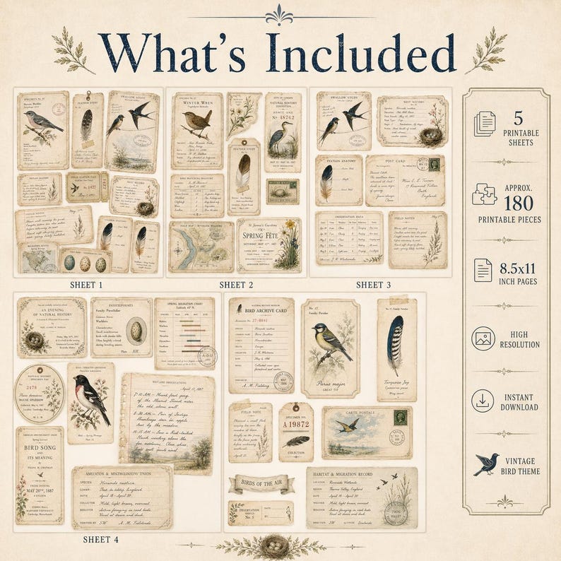 Vintage Bird Ephemera, Printable Junk Journal Pack, Bird Study Tags ...