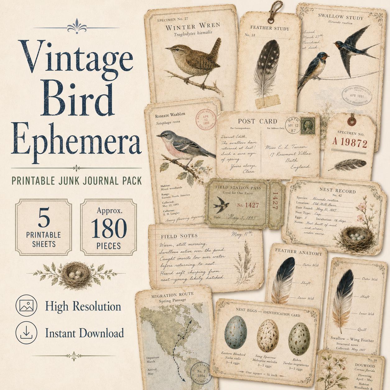 Vintage Bird Ephemera, Printable Junk Journal Pack, Bird Study Tags ...