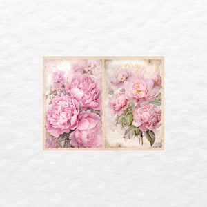Peut inclure: Deux illustrations de style vintage de pivoines roses sur un fond cr&egrave;me. Les pivoines sont dispos&eacute;es en bouquet avec des feuilles vertes.