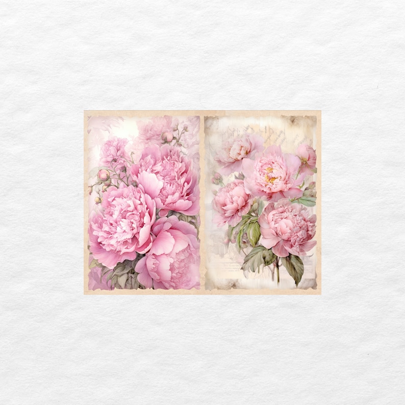 Peut inclure: Deux illustrations de style vintage de pivoines roses sur un fond cr&egrave;me. Les pivoines sont dispos&eacute;es en bouquet avec des feuilles vertes.