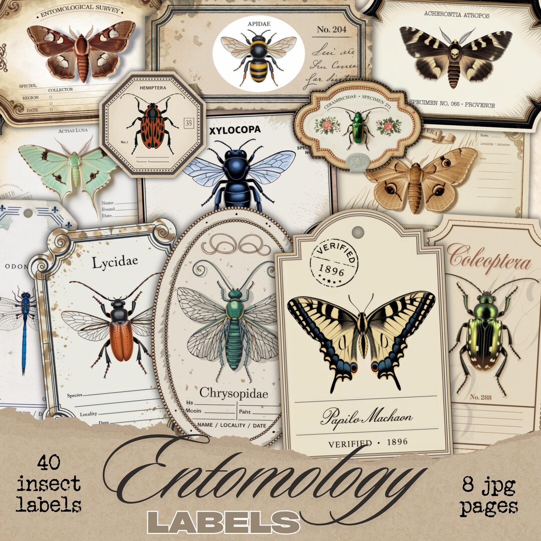 Insect Labels, Vintage Labels, Junk Journal, Fussy Cuts, Specimen Label ...