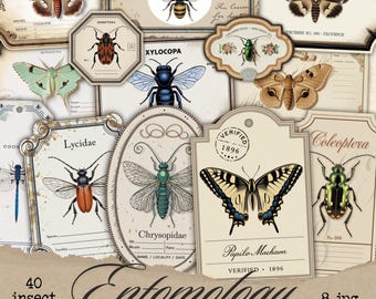 Insect Labels, Vintage Labels, Junk Journal, Fussy Cuts, Specimen Label, Label Ephemera, Specimen Number, Printable Ephemera, Grunge Label