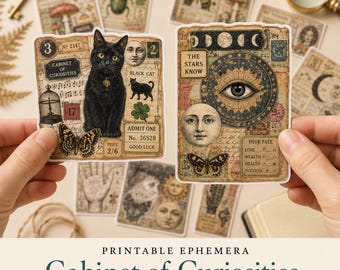 May include: Two rectangular stickers featuring vintage-style illustrations. One sticker shows a black cat, a birdcage, a butterfly, and text including Cabinet of Curiosities. The other sticker displays a large eye, moon phases, a face, and the text The Stars Know.