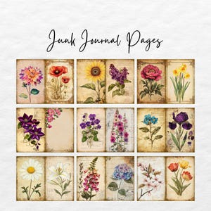 Op de afbeelding: Twaalf vintage-stijl bloemenillustraties op een beige achtergrond. Elke illustratie toont een ander type bloem, waaronder zonnebloemen, lelies, madeliefjes en tulpen. De illustraties zijn perfect voor scrapbooking, kaartmaken of andere knutselprojecten.