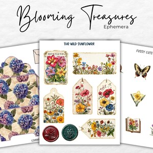 Op de afbeelding: Een set met printbare digitale scrapbookpapier met bloemenmotief en gedetailleerde uitsnijdingen. Het papier bevat een verscheidenheid aan bloemenontwerpen, waaronder hortensia's, zonnebloemen en andere wilde bloemen. De gedetailleerde uitsnijdingen omvatten een vlinder, een narcis en een boek.