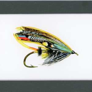Jock Scott Salmon Fly Fine Art Stampa